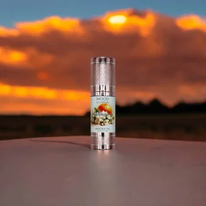 Mood Elevation Signature Massage Blend - 2